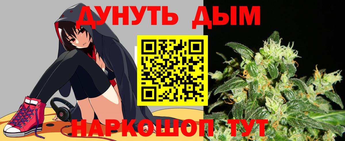 Конопля сатива Губаха